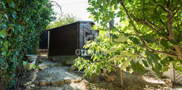 acp galery
