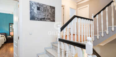 acp galery