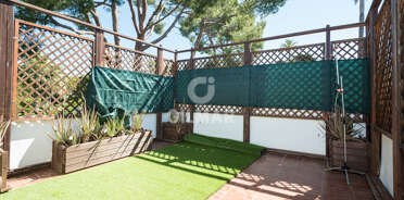 acp galery