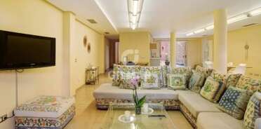 acp galery