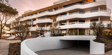 acp galery