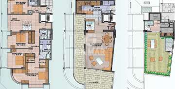 acp galery