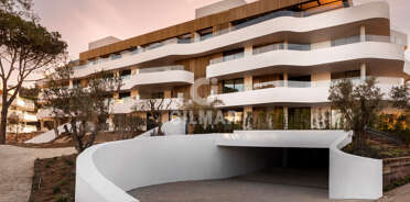 acp galery
