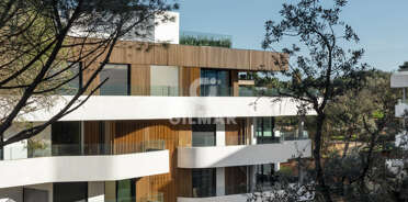 acp galery