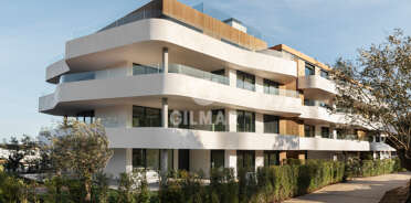acp galery