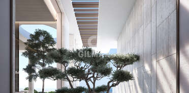acp galery