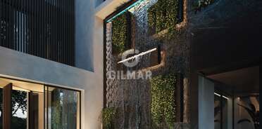 acp galery