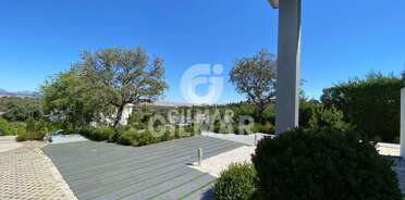 acp galery