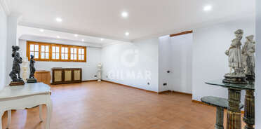 acp galery