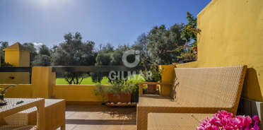acp galery