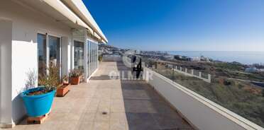 acp galery