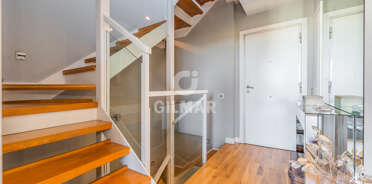 acp galery