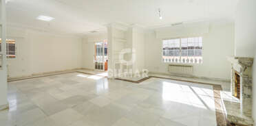 acp galery