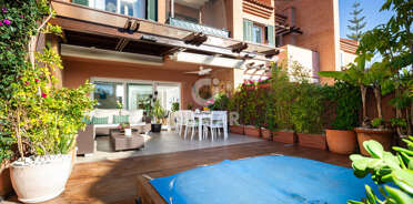 acp galery