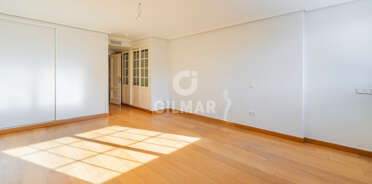 acp galery