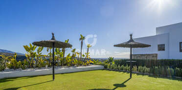 acp galery