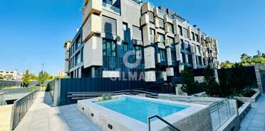 acp galery