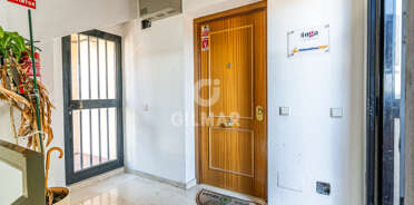 acp galery