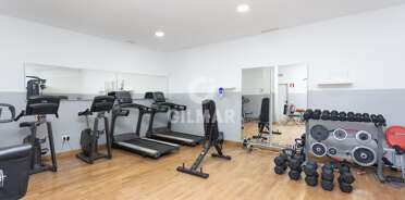 acp galery