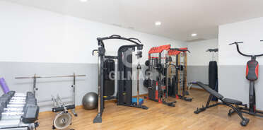 acp galery