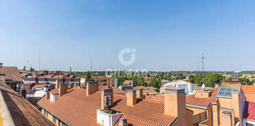 acp galery