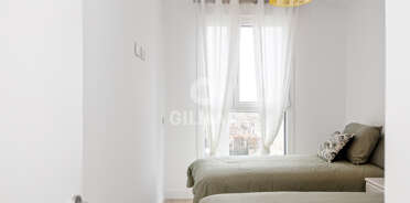 acp galery