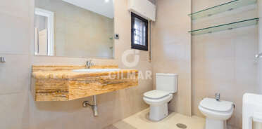 acp galery
