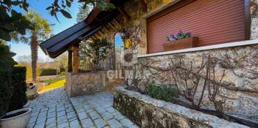 acp galery