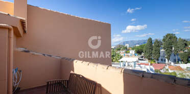 acp galery