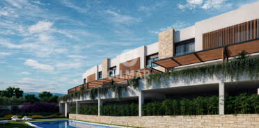 acp galery