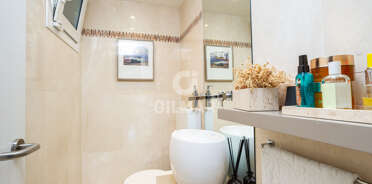 acp galery