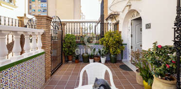 acp galery