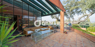 acp galery