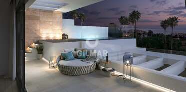 acp galery