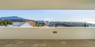 acp galery