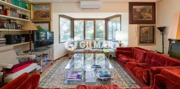acp galery