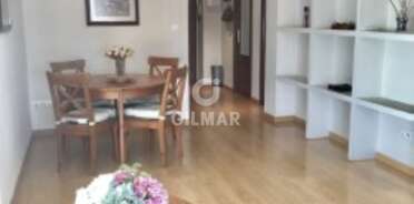 acp galery