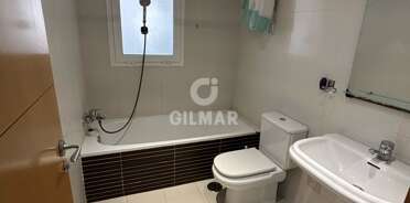 acp galery