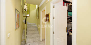 acp galery