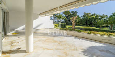 acp galery