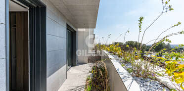 acp galery