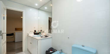 acp galery