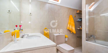 acp galery
