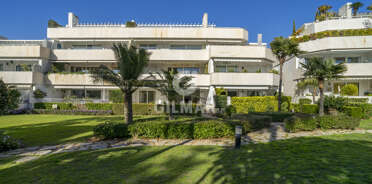 acp galery