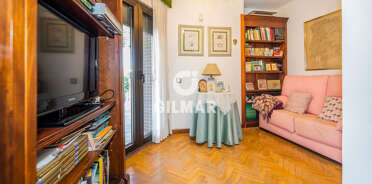acp galery