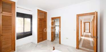 acp galery