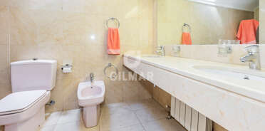 acp galery
