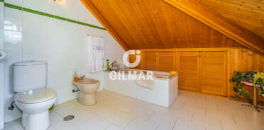 acp galery