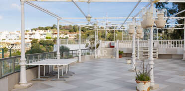 acp galery
