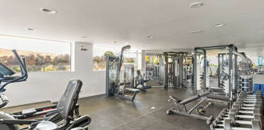 acp galery